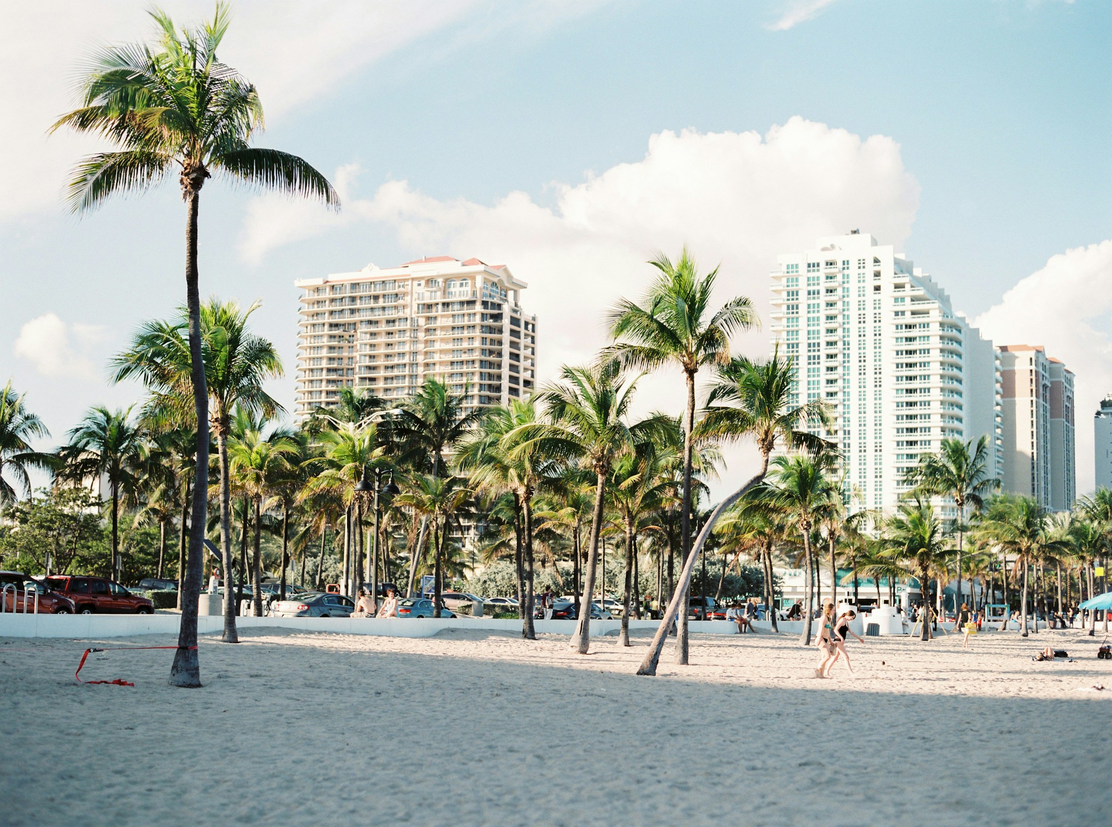 Pastel coastline and palm trees in Leonida
